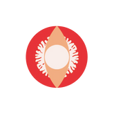 I-Contact Cosplay Halloween Contact Lenses Red Snake